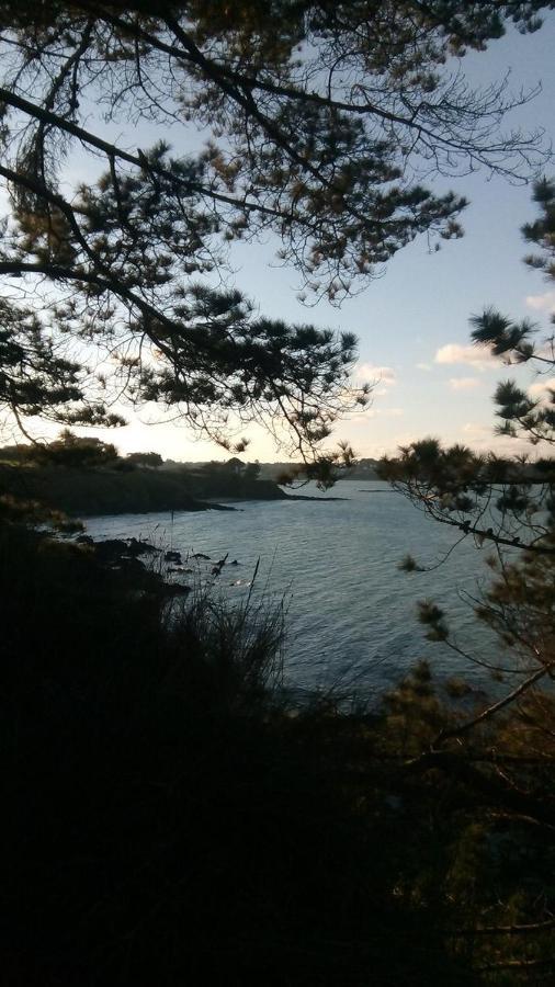 Tente 3 Chambres, Petit Camping Familial Vue Mer Плестен-ле-Грев Экстерьер фото